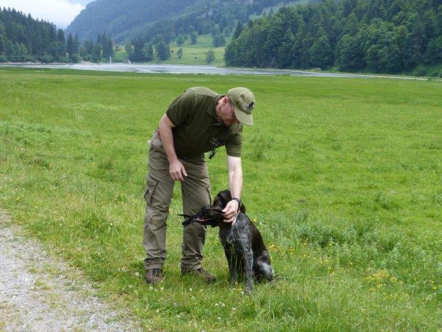 Anka