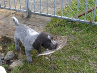 20 Wurfbox