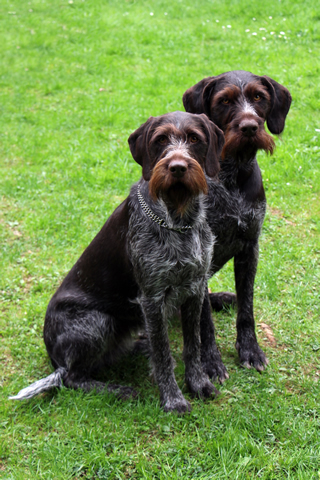 Anka und Votan