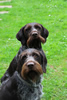 Anka und Votan