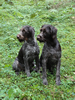 Anka und Votan