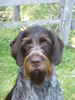Anka4